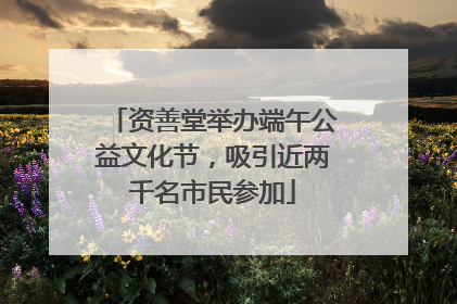 资善堂举办端午公益文化节，吸引近两千名市民参加