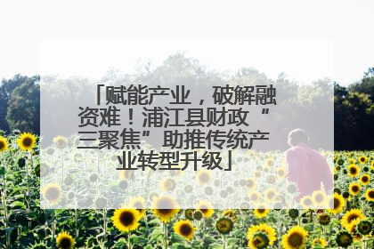 赋能产业，破解融资难！浦江县财政“三聚焦”助推传统产业转型升级