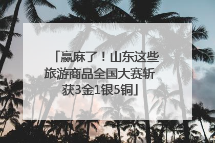 赢麻了！山东这些旅游商品全国大赛斩获3金1银5铜