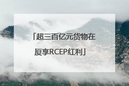 超三百亿元货物在厦享RCEP红利