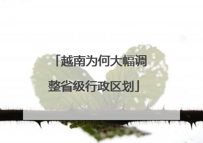 越南为何大幅调整省级行政区划