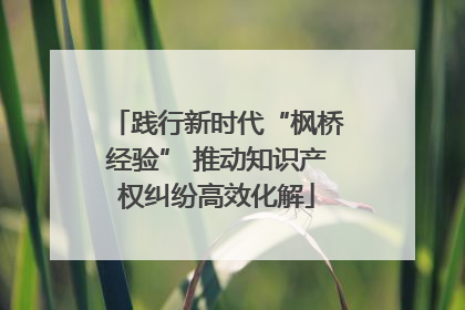 践行新时代“枫桥经验” 推动知识产权纠纷高效化解