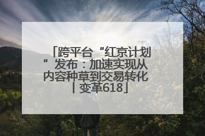 跨平台“红京计划”发布：加速实现从内容种草到交易转化丨变革618