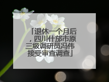 退休一个月后，四川什邡市原三级调研员冯伟接受审查调查