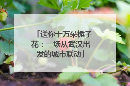 送你十万朵栀子花：一场从武汉出发的城市联动