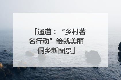 通道：“乡村著名行动”绘就美丽侗乡新图景
