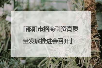 邵阳市招商引资高质量发展推进会召开