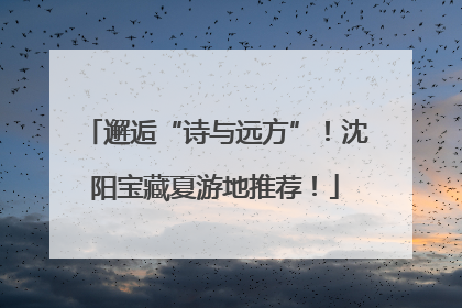 邂逅“诗与远方”！沈阳宝藏夏游地推荐！