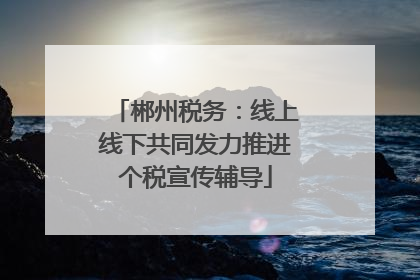 郴州税务：线上线下共同发力推进个税宣传辅导