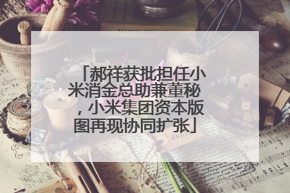 郝祥获批担任小米消金总助兼董秘，小米集团资本版图再现协同扩张