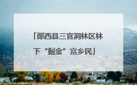 郧西县三官洞林区林下“掘金”富乡民