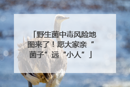 野生菌中毒风险地图来了！愿大家亲“菌子”远“小人”
