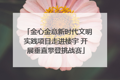 金心金意新时代文明实践项目走进楼宇 开展垂直攀登挑战赛
