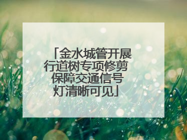 金水城管开展行道树专项修剪 保障交通信号灯清晰可见