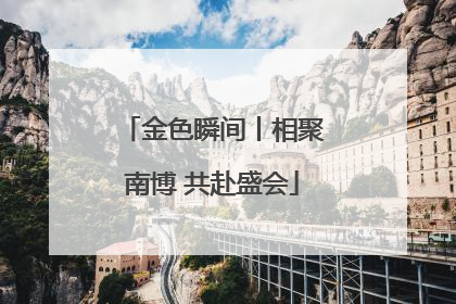 金色瞬间丨相聚南博 共赴盛会