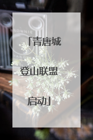 青唐城登山联盟启动