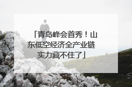 青岛峰会首秀！山东低空经济全产业链实力藏不住了