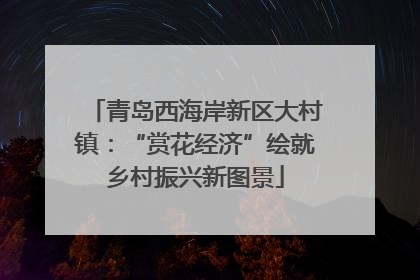 青岛西海岸新区大村镇：“赏花经济”绘就乡村振兴新图景