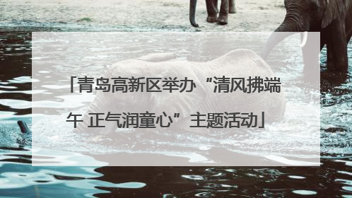 青岛高新区举办“清风拂端午 正气润童心”主题活动