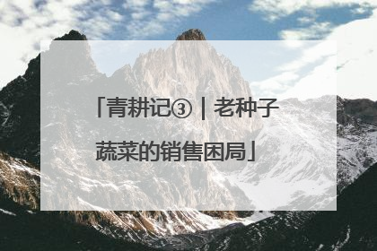 青耕记③｜老种子蔬菜的销售困局
