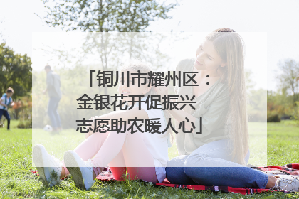 铜川市耀州区：金银花开促振兴 志愿助农暖人心