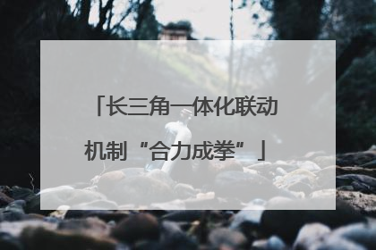 长三角一体化联动机制“合力成拳”