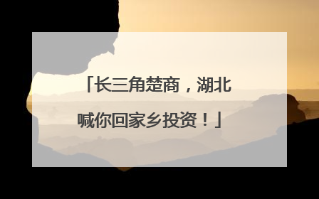 长三角楚商，湖北喊你回家乡投资！