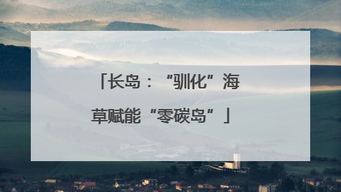 长岛：“驯化”海草赋能“零碳岛”