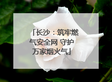 长沙：筑牢燃气安全网 守护万家烟火气