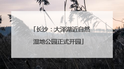 长沙：大泽湖近自然湿地公园正式开园