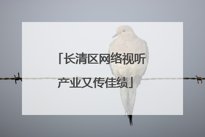 长清区网络视听产业又传佳绩