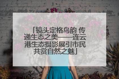 镜头定格鸟韵 传递生态之美——连云港生态摄影展引市民共赏自然之魅