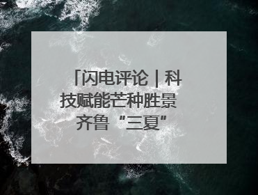闪电评论｜科技赋能芒种胜景 齐鲁“三夏”画卷更壮美