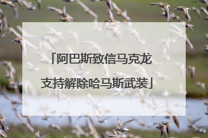阿巴斯致信马克龙 支持解除哈马斯武装