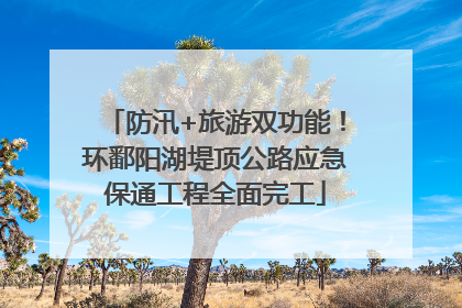 防汛+旅游双功能！环鄱阳湖堤顶公路应急保通工程全面完工