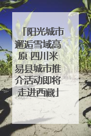 阳光城市邂逅雪域高原 四川米易县城市推介活动即将走进西藏