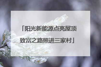 阳光新能源点亮屋顶 致富之路照进三家村