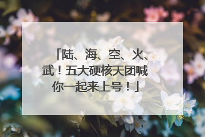 陆、海、空、火、武！五大硬核天团喊你一起来上号！