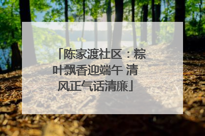陈家渡社区：粽叶飘香迎端午 清风正气话清廉