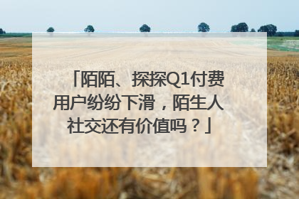 陌陌、探探Q1付费用户纷纷下滑，陌生人社交还有价值吗？