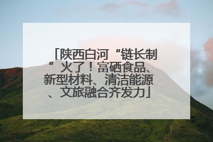 陕西白河“链长制”火了！富硒食品、新型材料、清洁能源、文旅融合齐发力