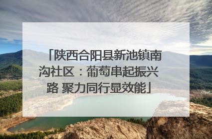 陕西合阳县新池镇南沟社区：葡萄串起振兴路 聚力同行显效能