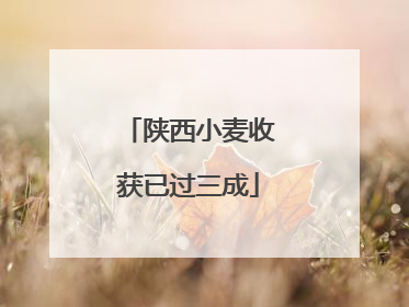 陕西小麦收获已过三成