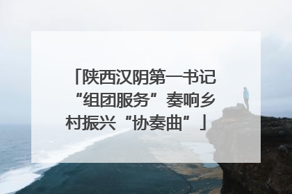 陕西汉阴第一书记“组团服务”奏响乡村振兴“协奏曲”