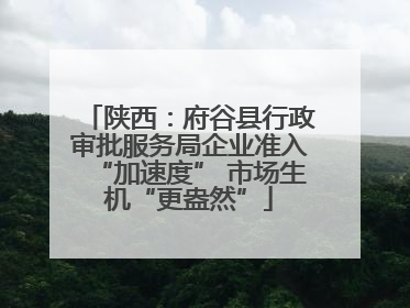 陕西：府谷县行政审批服务局企业准入“加速度” 市场生机“更盎然”