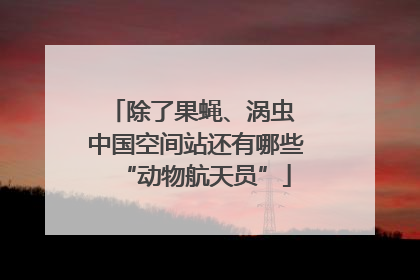 除了果蝇、涡虫 中国空间站还有哪些“动物航天员”