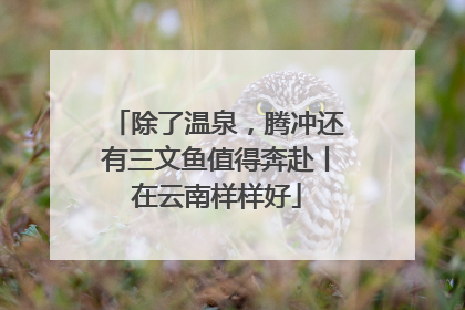 除了温泉，腾冲还有三文鱼值得奔赴丨在云南样样好