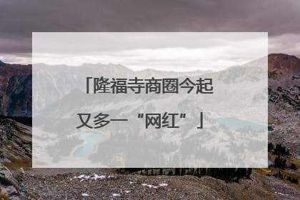 隆福寺商圈今起又多一“网红”