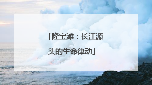 隆宝滩：长江源头的生命律动