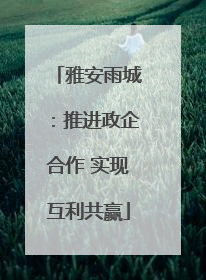 雅安雨城：推进政企合作 实现互利共赢